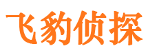 凤县市私家侦探